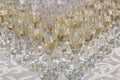 Wedding glasses filled with champagne, ready to be served