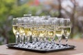 Wedding glasses filled with champagne, ready to be served