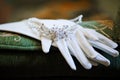 Wedding glovers