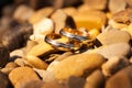 Wedding gold rings on the rocks Royalty Free Stock Photo