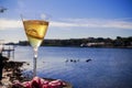 Wedding golden rings in glass of champagne. Symbol of love and marriage. with champagne bubbles in the sunlight Royalty Free Stock Photo