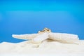 Wedding golden rings on white starfish on sandy beach. Marine decor with accessories for tropical wedding ceremony on summer Royalty Free Stock Photo