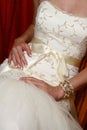 Wedding Gown Royalty Free Stock Photo