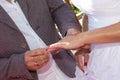 Wedding groom wears bride ring exchange Royalty Free Stock Photo