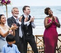 Wedding guests clapping for the bride and groom Royalty Free Stock Photo