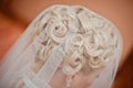Wedding hairdo Royalty Free Stock Photo