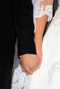 Wedding hands Royalty Free Stock Photo