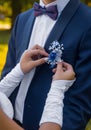 Wedding. Hands of the bride in wedding gloves adjust the decoration in the form of a rose flower on a blue suit of the groom with