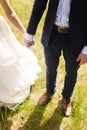 Wedding hands of the enamoured Royalty Free Stock Photo