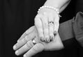 Wedding hands mature newlyweds couple isolated on black