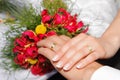 Wedding hands with rings Royalty Free Stock Photo
