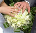 Wedding hands and rings on flowers Royalty Free Stock Photo