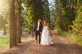 Wedding, happy and couple walking in park, nature and forest for union celebration, care and marriage. Bride, groom and Royalty Free Stock Photo