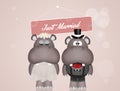 Wedding of hippos Royalty Free Stock Photo