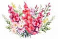 Wedding Illustration Blossom Background Spring Summer Flower Garden Leaves Watercolor Decorative Nature Vintage Floral