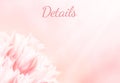 Wedding information card, pink tulips, standart size.