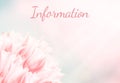 Wedding information card, pink tulips, standart size.