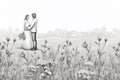 Wedding invitation backround rustic farmstyle field flowers Royalty Free Stock Photo