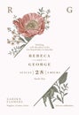 Wedding invitation Beautiful flowers Vintage card Frame Drawing engraving Poppy poppies Vector Illustration Wallpaper Thank you Royalty Free Stock Photo