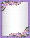 Wedding invitation Border orchids ivy Royalty Free Stock Photo