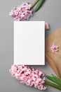 Wedding invitation card mockup with pink hyacinth flowers on grey background Royalty Free Stock Photo