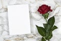 Wedding invitation card mockup and red envelope with red rose on marble background. Blank card mockup. Royalty Free Stock Photo