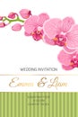 Wedding invitation card pink orchid phalaenopsis
