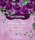 Wedding invitation card with purple violet roses decor designs