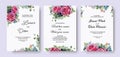 Wedding invitation card vintage set pink roses watercolor on white Royalty Free Stock Photo