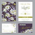 Wedding Invitation or Congratulation Card Set Royalty Free Stock Photo