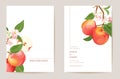 Wedding invitation peach fruits, flowers, leaves card. Watercolor minimal template vector. Botanical Save the Date Royalty Free Stock Photo