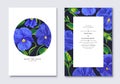 Blue Pansies realistic floral design with green leaves. Vector spring minimalist banner illustration.