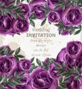 Wedding Invitation roses card Vector. Beautiful violet roses flowers decor. Elegant decor vintage backgrounds Royalty Free Stock Photo