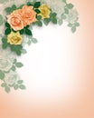 Wedding Invitation Roses Peach Royalty Free Stock Photo