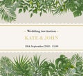 Wedding Invitation, rsvp modern card Design. Vector natural, bot