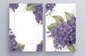 Wedding Invitation, save the date, thank you, RSVP card Design template. Vector. Purple hydrangea flowers, olive leaves Royalty Free Stock Photo