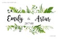 Wedding invite invitation card vector floral greenery design: Forest fern frond, Eucalyptus branch green leaves foliage herb Royalty Free Stock Photo
