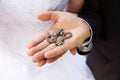 Wedding keys in the hands Royalty Free Stock Photo