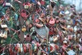 wedding locks in the park in Yaroslavl