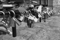 Wedding locks black and white Royalty Free Stock Photo