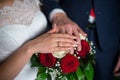 Wedding loving couple holding hands looking at the path, symbolizing her future Royalty Free Stock Photo