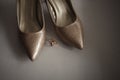 Wedding, luxury bridal shoes with diamonds