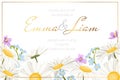Wedding marriage event invitation card template. Daisy chamomile forget-me-not wild field meadow flowers border frame.