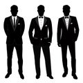 Wedding men`s suit and tuxedo. Collection. The groom. Royalty Free Stock Photo