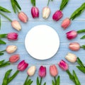 Easter and spring Royalty Free Stock Photo