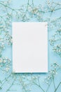Wedding mockup with white paper list and flowers gypsophila on blue background from above. Beautiful floral pattern. Flat lay. Royalty Free Stock Photo