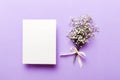 Wedding mockup with white paper list and flowers gypsophila on colored table top view flat lay. Blank greeting cards and Royalty Free Stock Photo