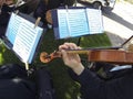 Wedding music provided by a string quartet