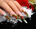 Wedding nails design. Royalty Free Stock Photo