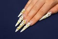 Wedding nails design. Royalty Free Stock Photo